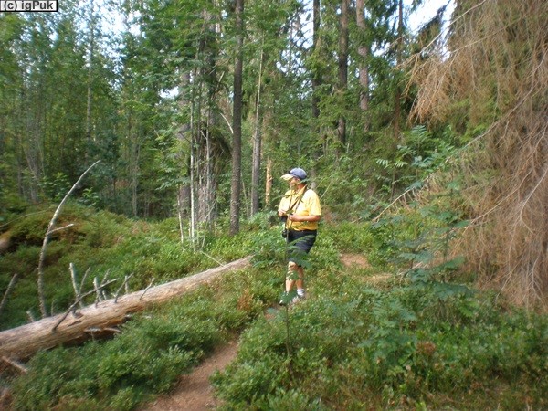 Garphyttans Nationalpark