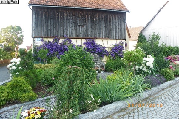 Blumenpracht Hochstahl