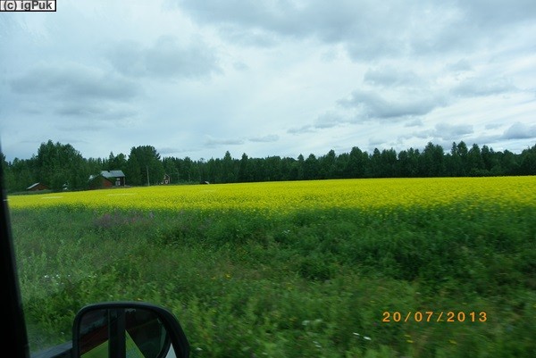 Schwedenstimmung