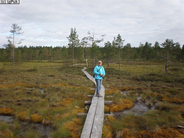 Polarkreis Rovaniemi