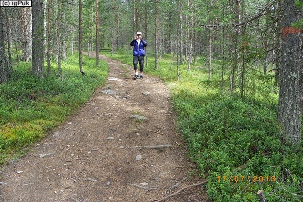 Naturreservat Jupukka bei Autio