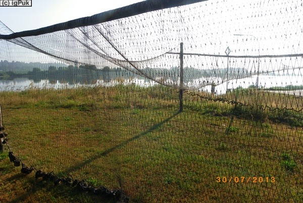 Morgenstimmung an der Elbe