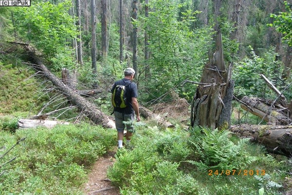 Garphyttans Nationalpark