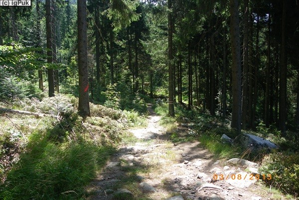 Stifter-Wanderweg Oberschwarzenbach