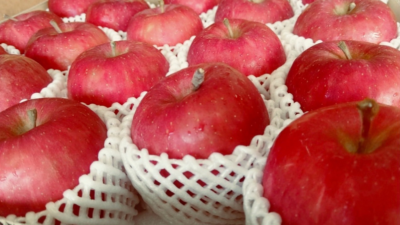 小林りんご農園の商品一覧　kobayashiringo　ページ！
