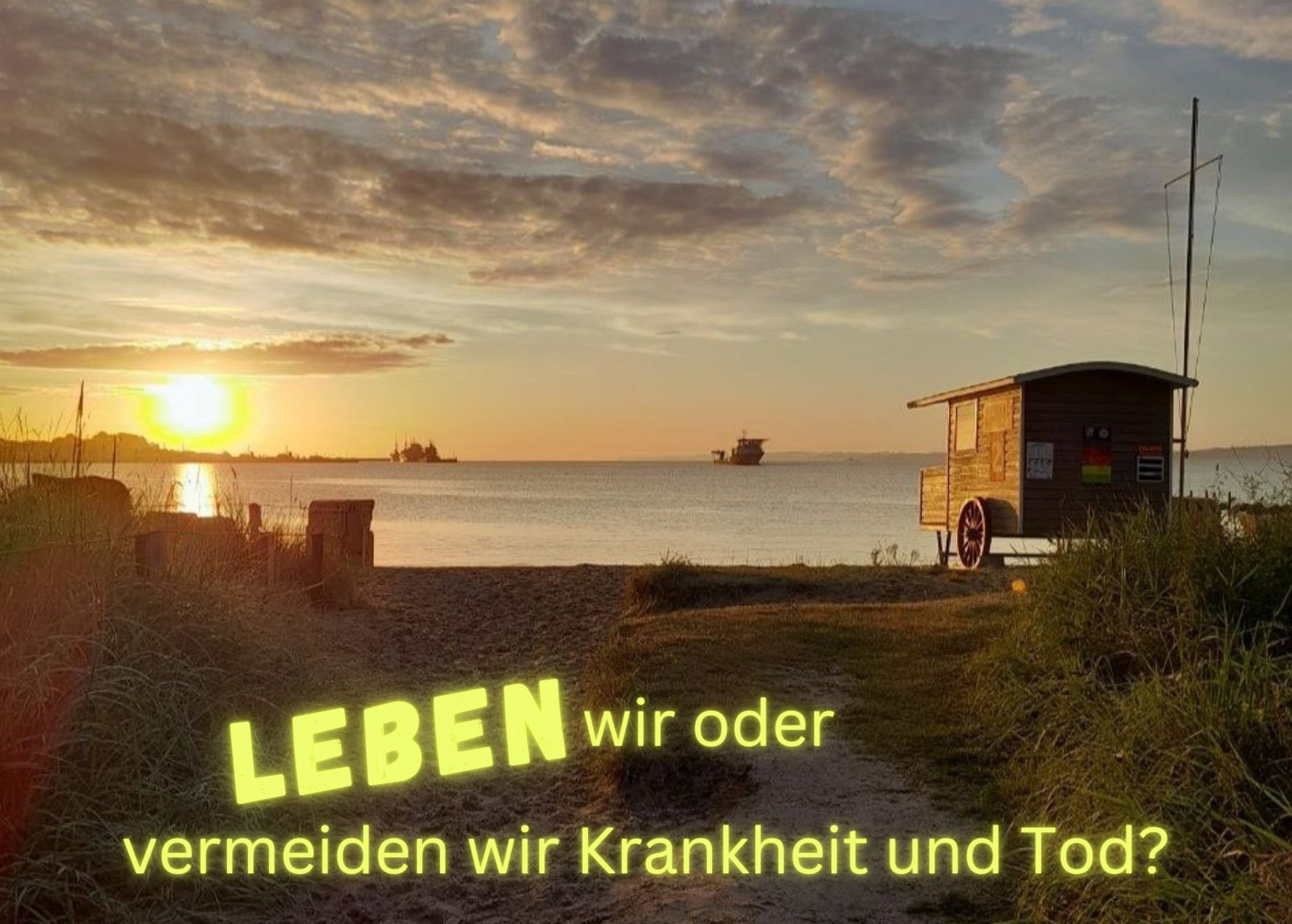 Leben wir oder vermeiden wir Krankheit oder Tod?
