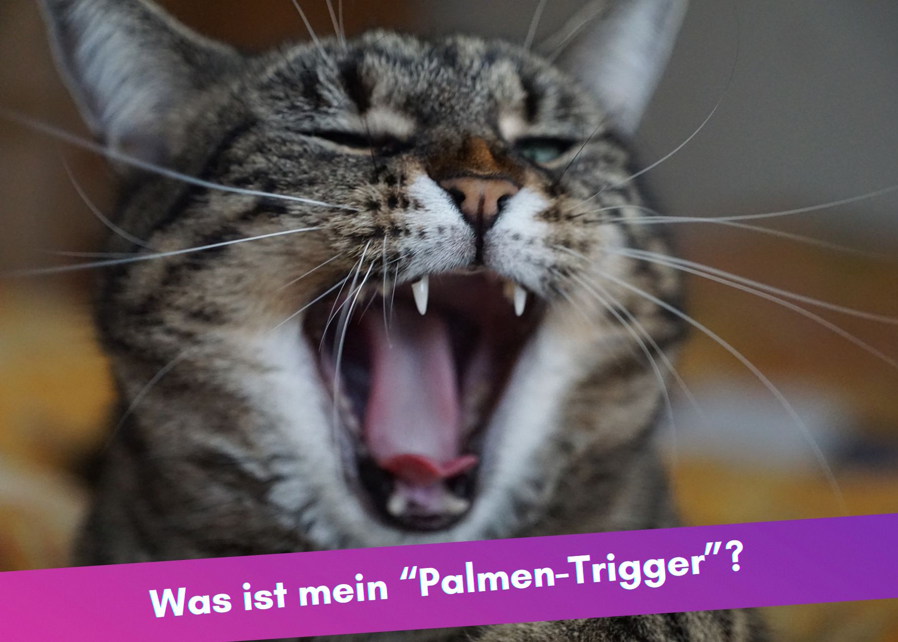 Was ist mein "Palmen-Trigger"?