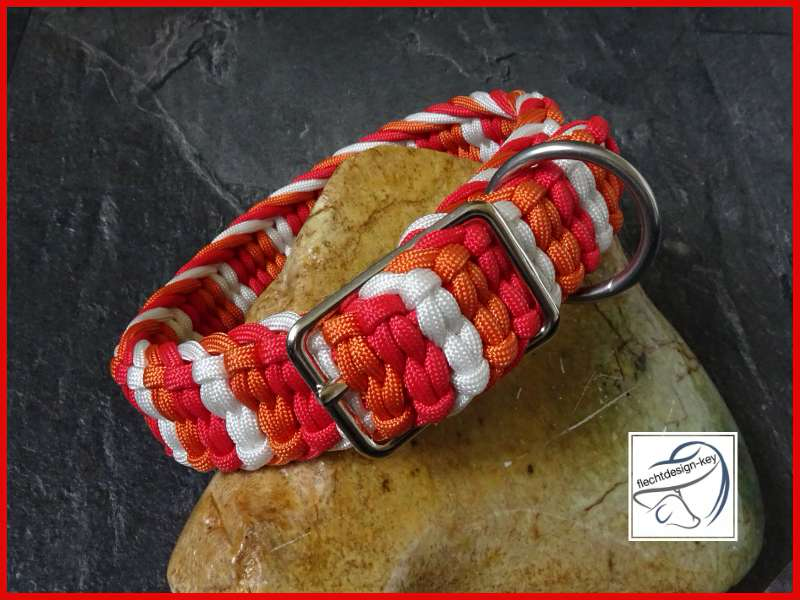Paracotd Halsband mit Dornschnalle