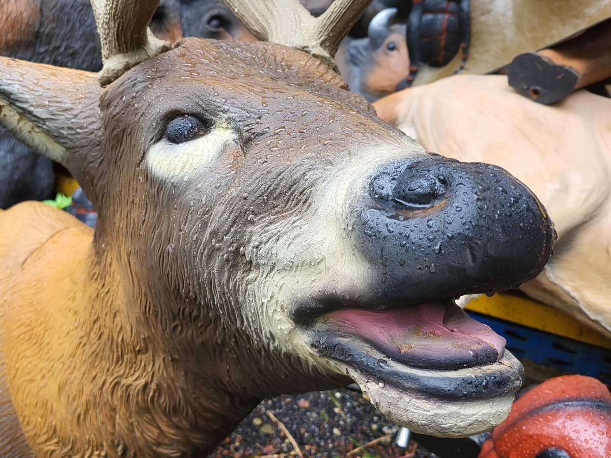 Tiere im Wald