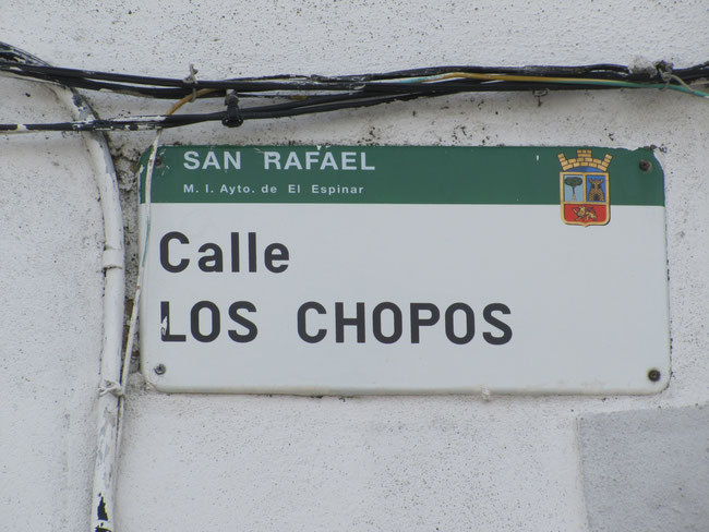 San Rafael - Calle Los Chopos