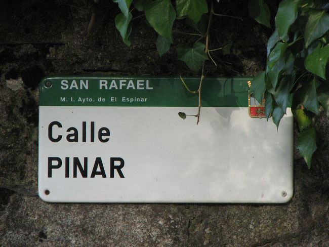 San Rafael - Calle Pinar