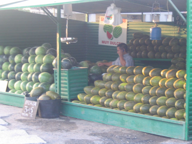 San Rafael - Venta de Melones