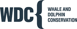 WDC Logo