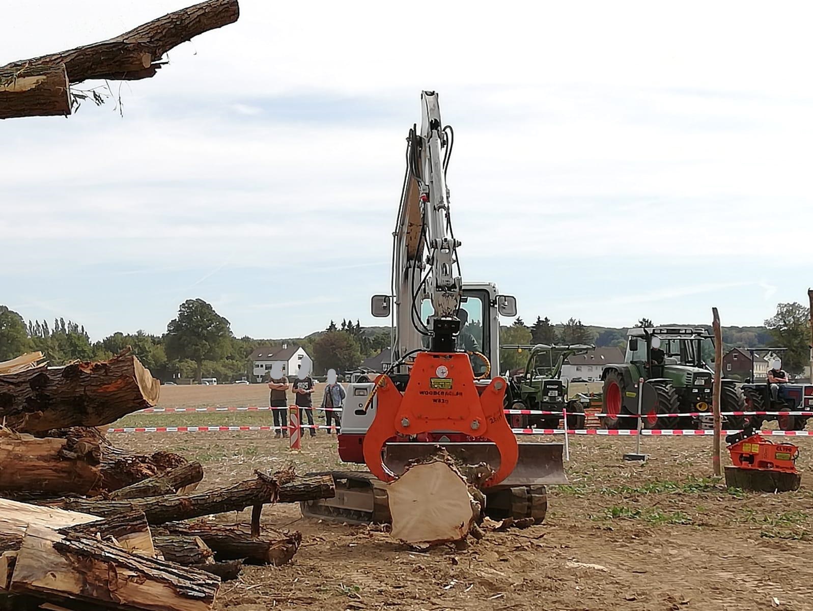 Holzspalten und Wurzelaufbereitung