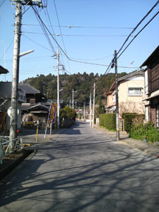 鳥居をくぐり道なりに歩く