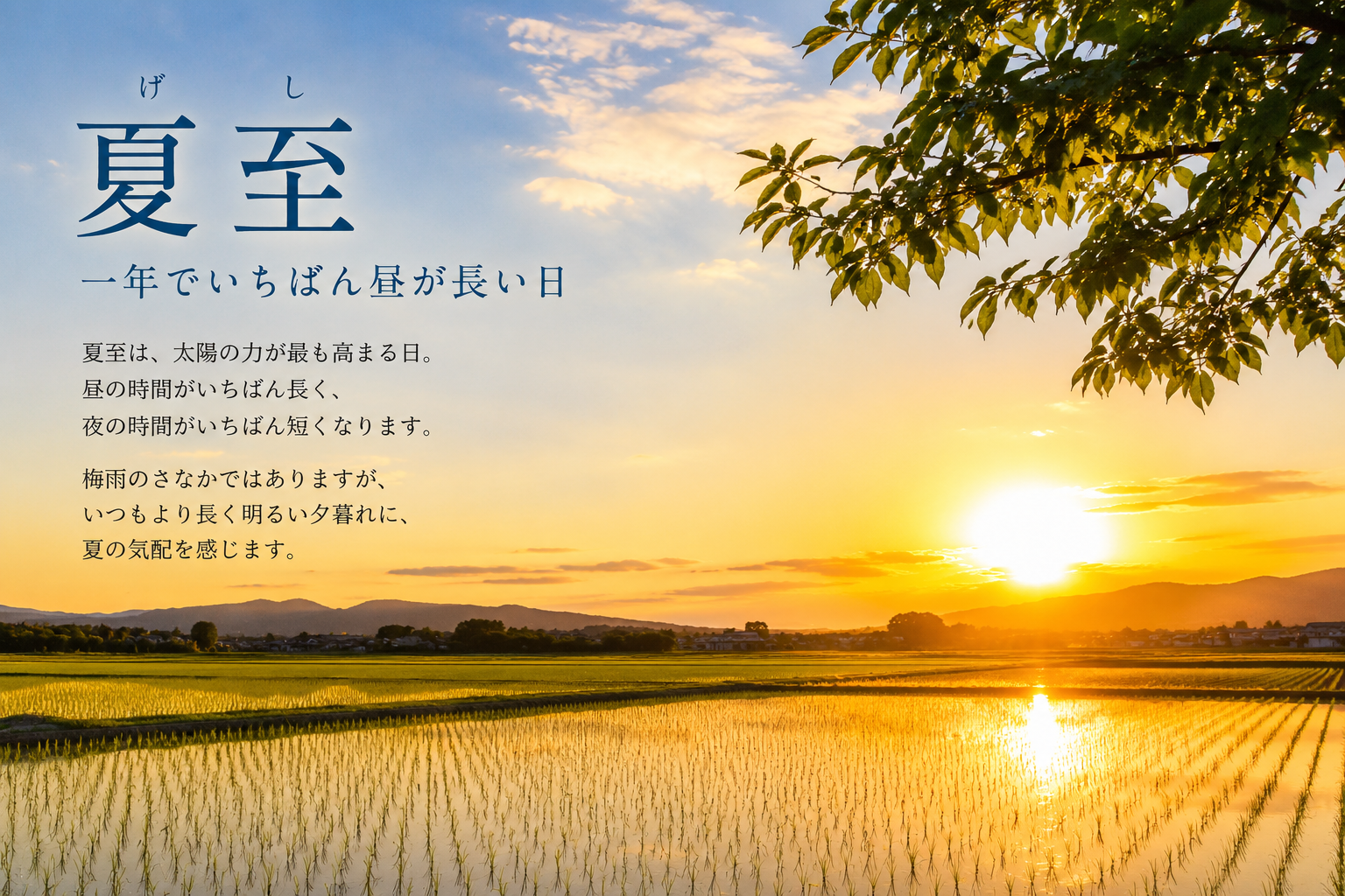 夏至とは
