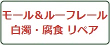 モール＆ルーフレール曇り・腐食リペアロゴマーク