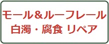 モール＆ルーフレール曇り・腐食リペアロゴマーク