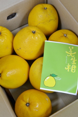 美生柑 はちみつ コンフィチュール専門店 Niru Neru 美生柑 はちみつ コンフィチュール専門店 Niru Neru