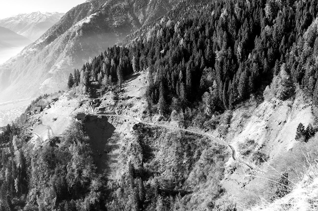 Tirolo