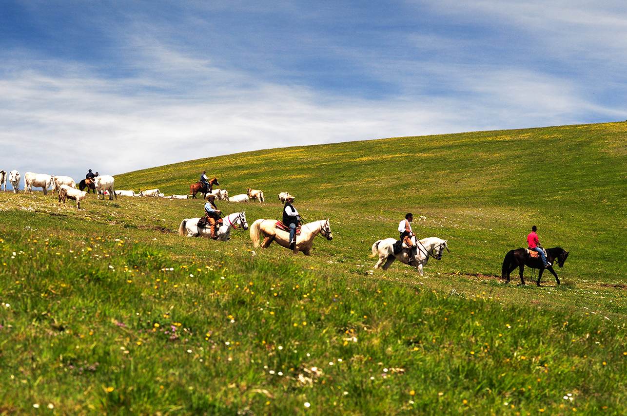 cow boys dei Sibillini