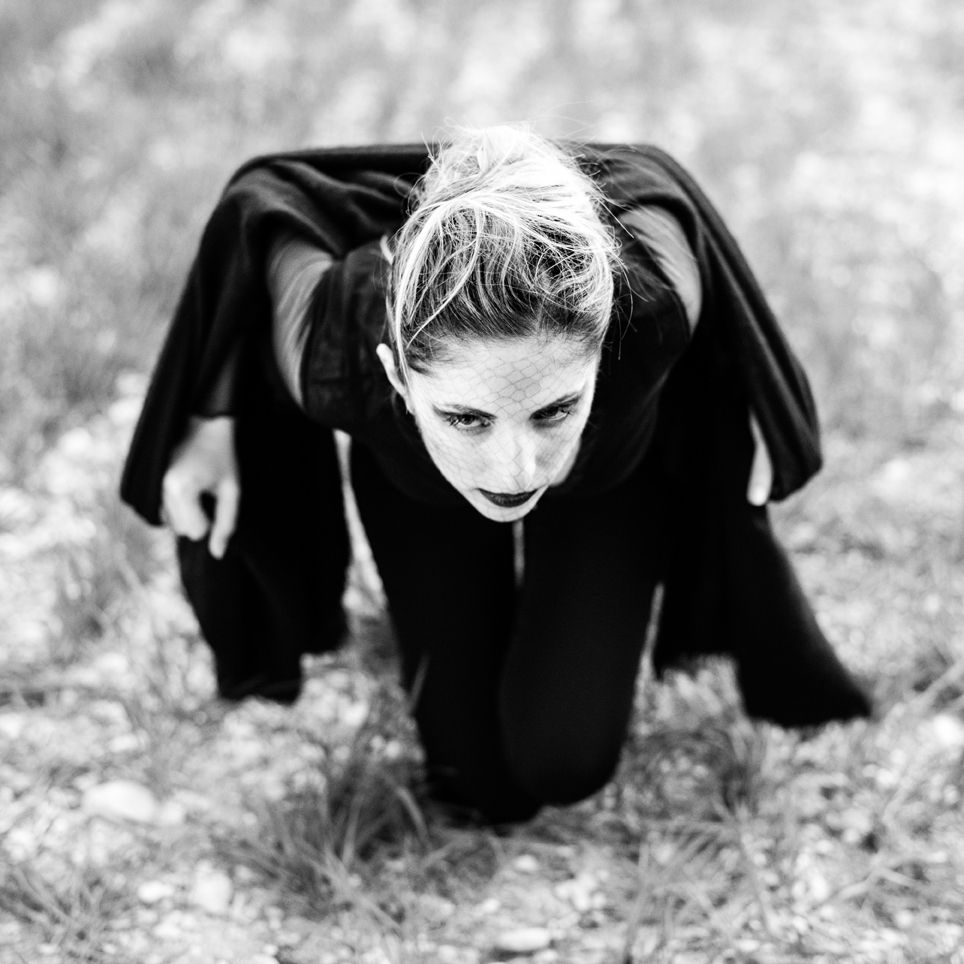 Elisa - pipistrello