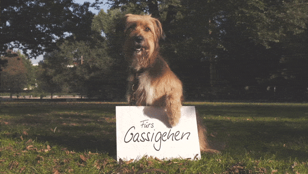 merci Social-Spot „#thankstorm“