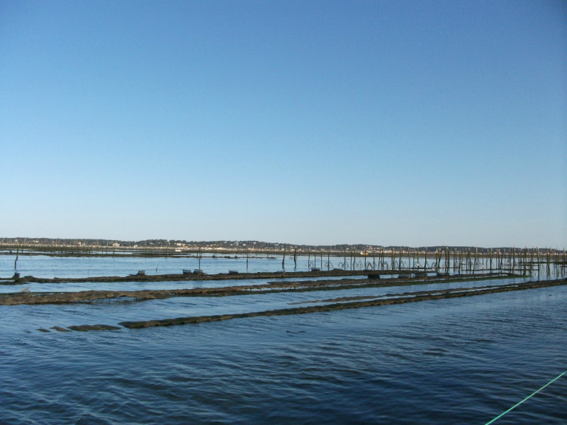 on est en vue des parcs à huitres du bassin d'Arcachon lors de la soortie pescatourisme