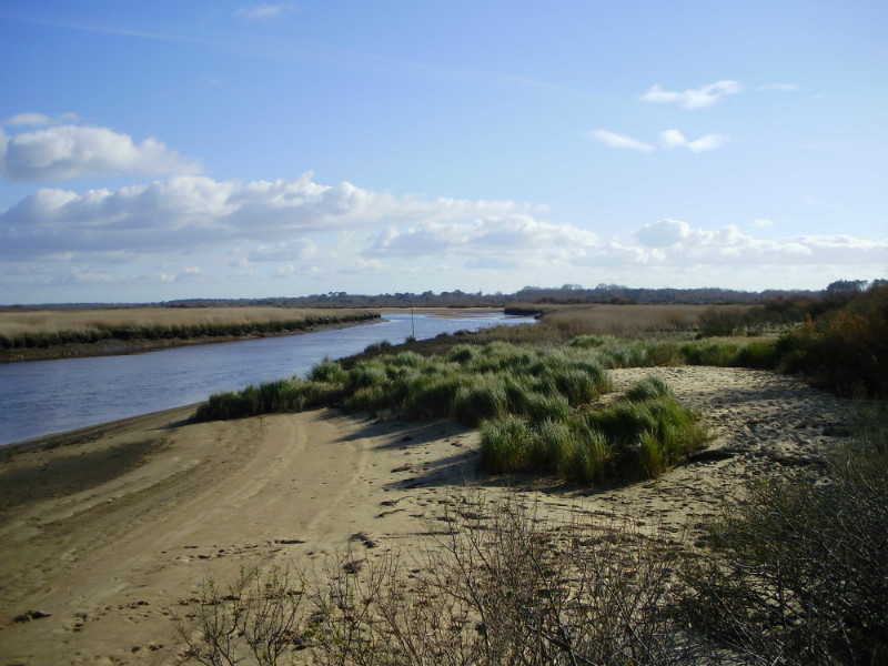 Rives de la Leyre le long du chemin du littoral sur le bassin d'Arcachon