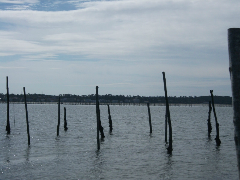 poteaux signalant les parcs à huitre en marée haute sur le bassin d'Arcachon