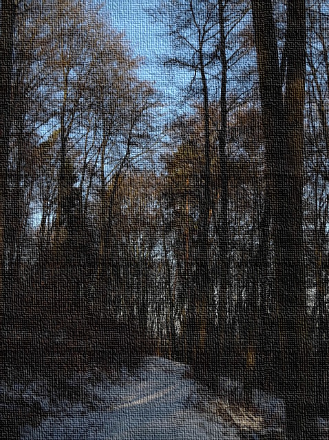 goldener Waldweg mit Januarschnee