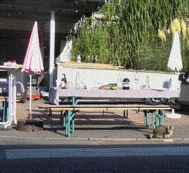 Katzenfrühstück mit Bratwurst vor leeren Flaschen eines Nachbarschaftsfestes