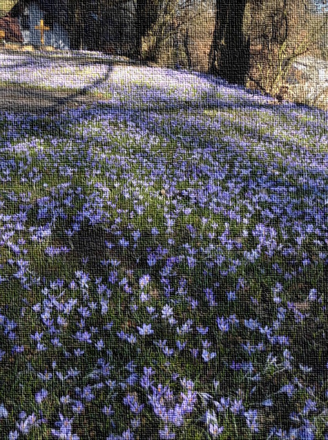 Blühendes blaues Krokusmeer vor Grab-Kreuz