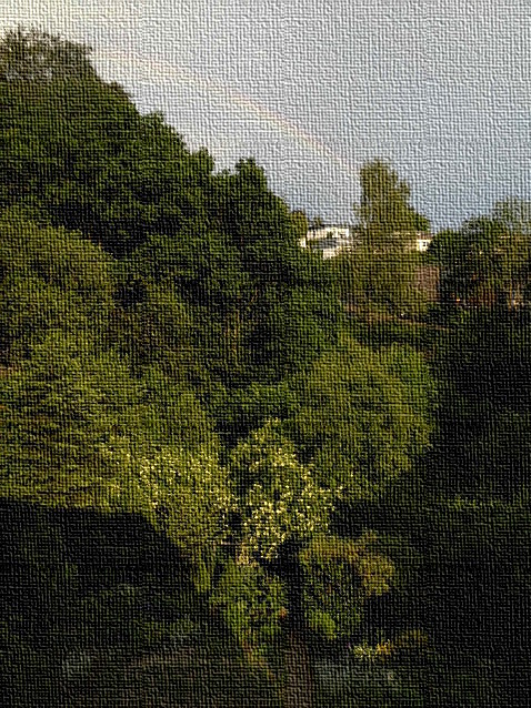 Blasser Regenbogen über abendlichen Holundersternen