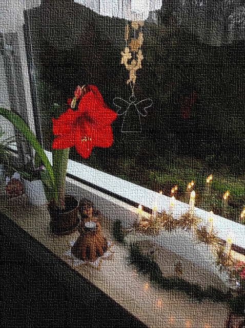 Rote Amaryllis-Blüte mit TaHei-Engel vor Advents-Fenster