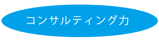 株式会社マイスターのコンサルティング力