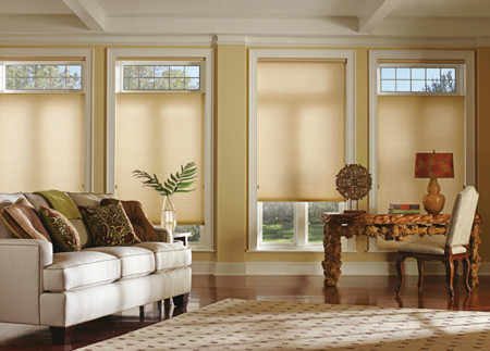 Duettes by Hunter Douglas showing the top down, bottom up feature.