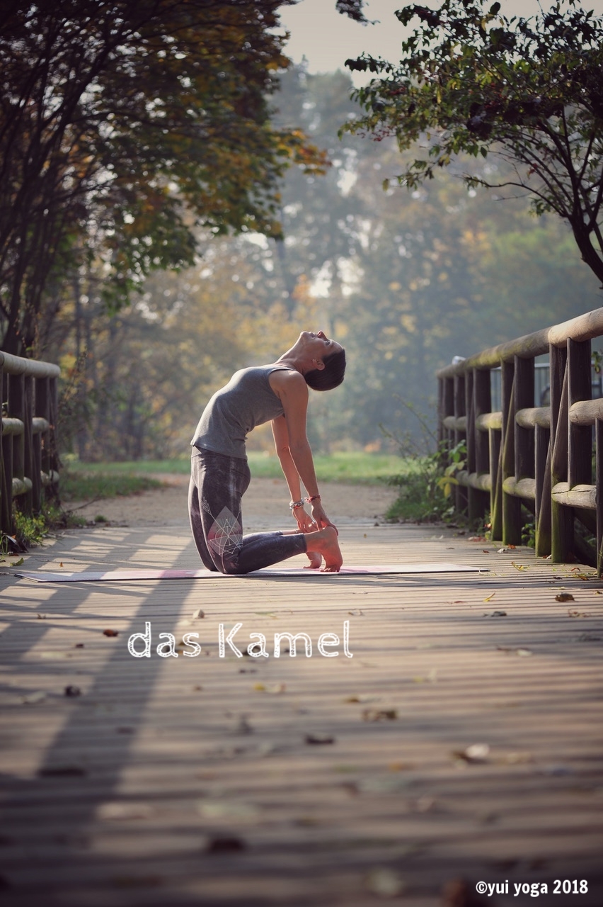 Hatha Yoga Position: Kamel