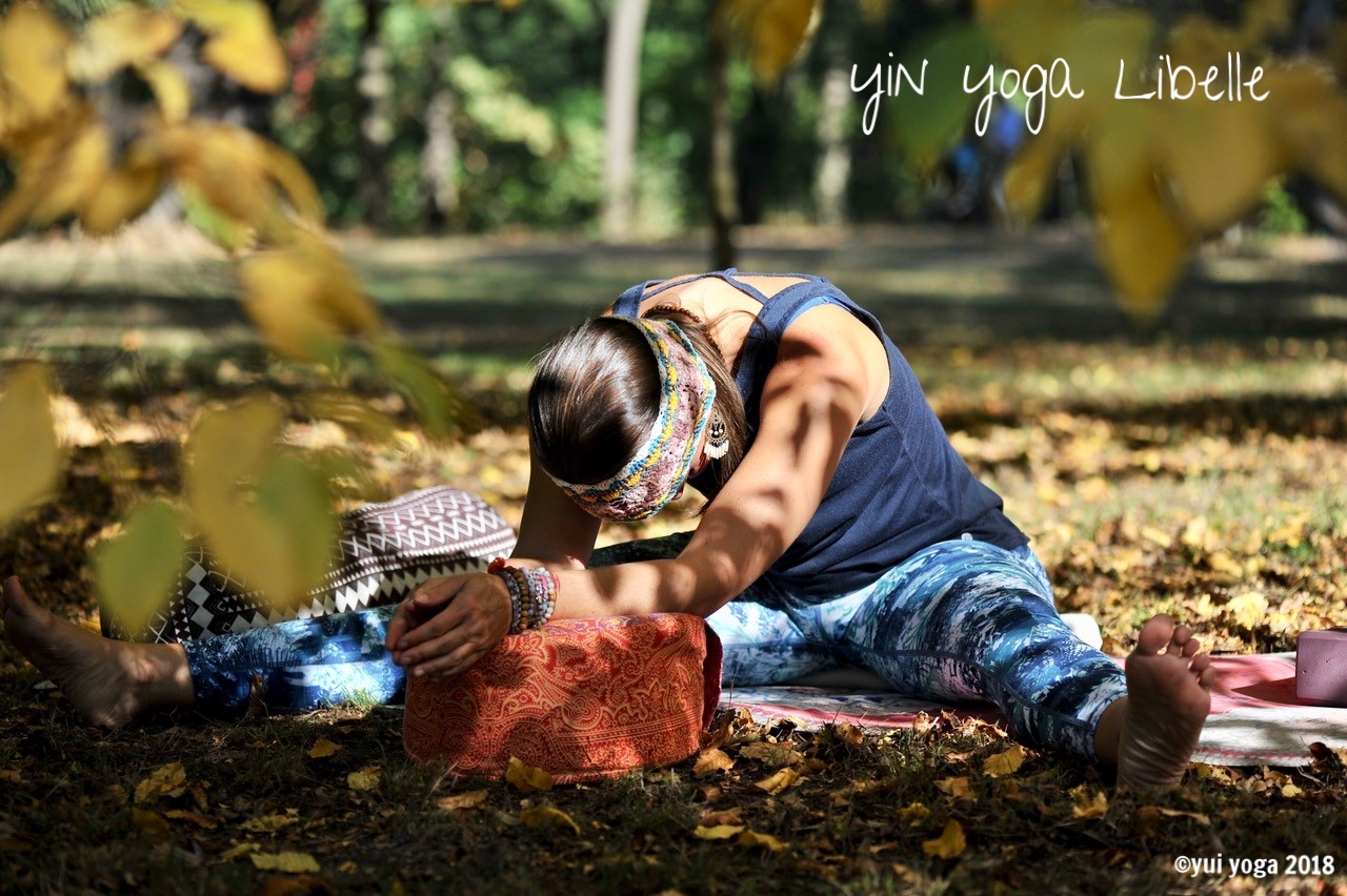 Yin Yoga Position: Libelle