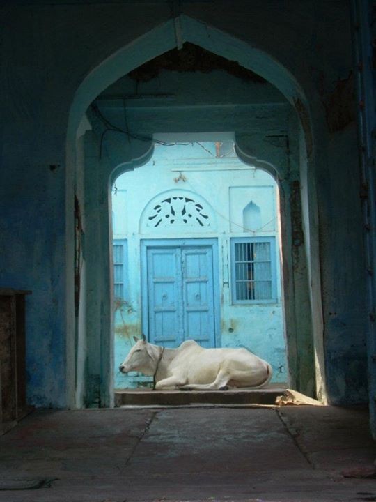 Door - Matara - Inde 2010
