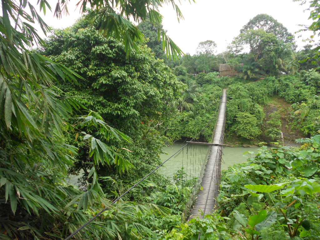 Jungle bridge - Sumatra 2013