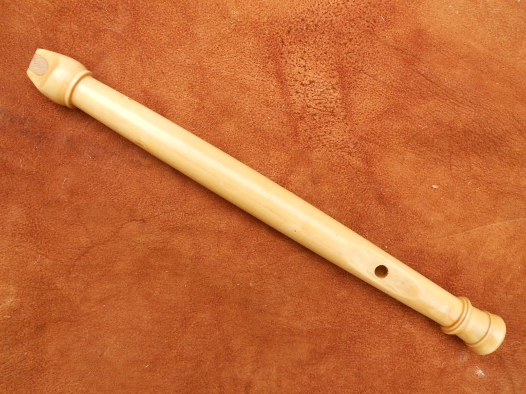 Flabuta buis