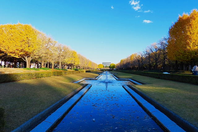 昭和記念公園の紅葉 - wagamachi-shinmachi ページ！