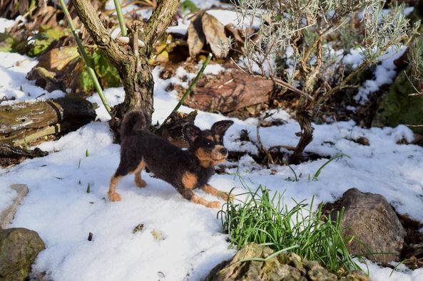 handgefilzte Hunde Gruppe mehrere Hundeportraits aus Wolle realistisch
