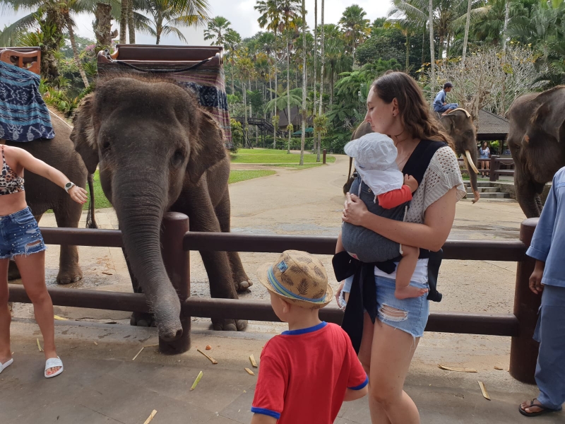 Mason Elephant Lodge