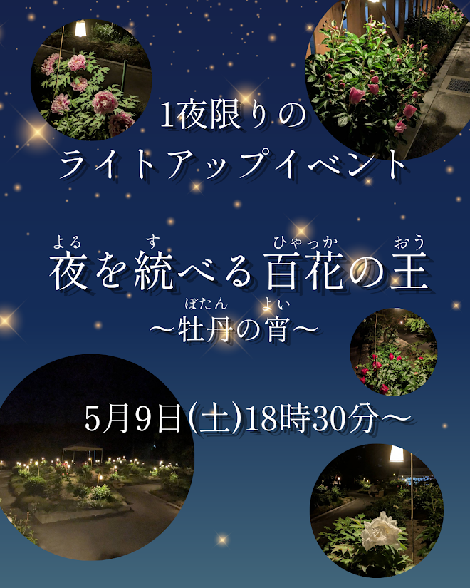 ライトアップイベント