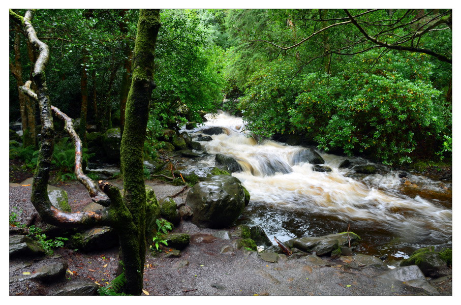 Torc Waterfall, Killarney Nationalpark III