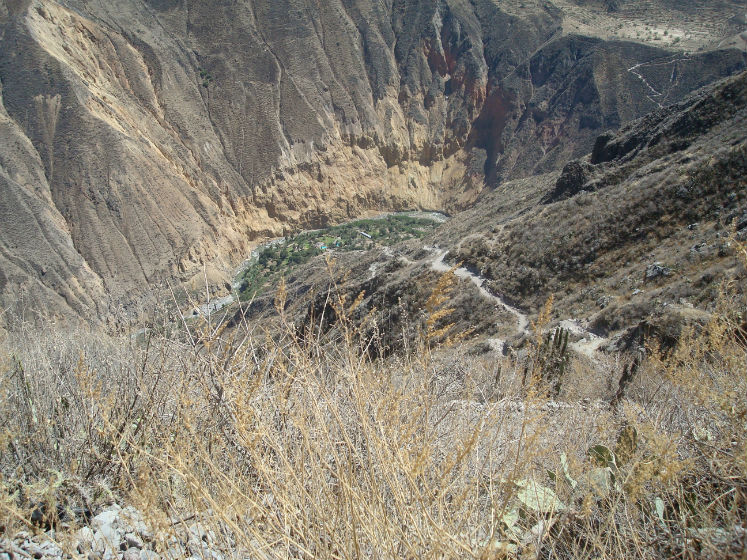 le canyon de Colca, au fond l'oasis.