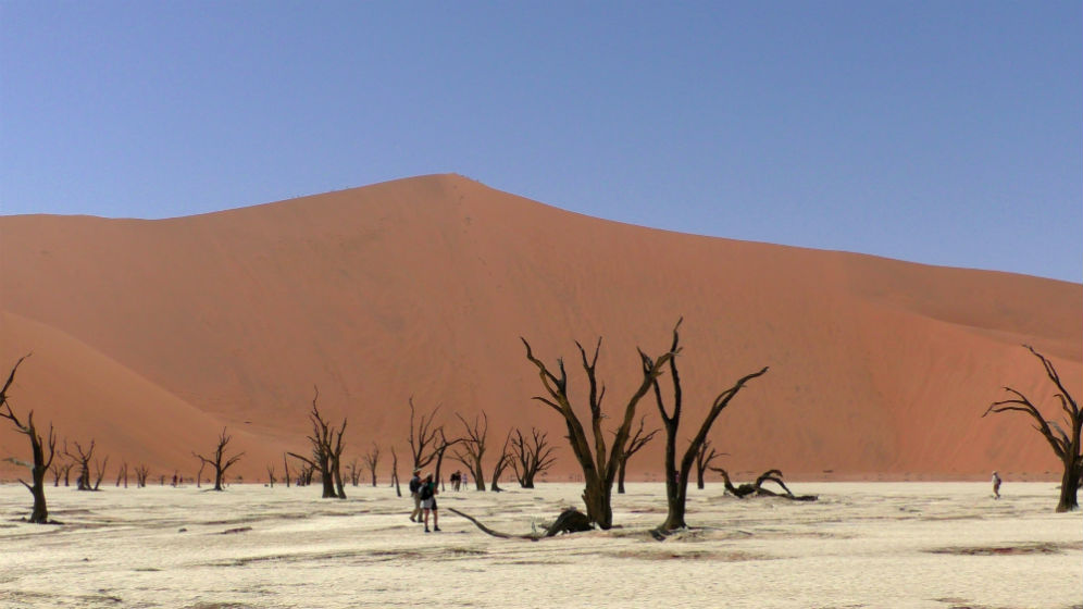 Voilà LA photo emblématique de la Namibie