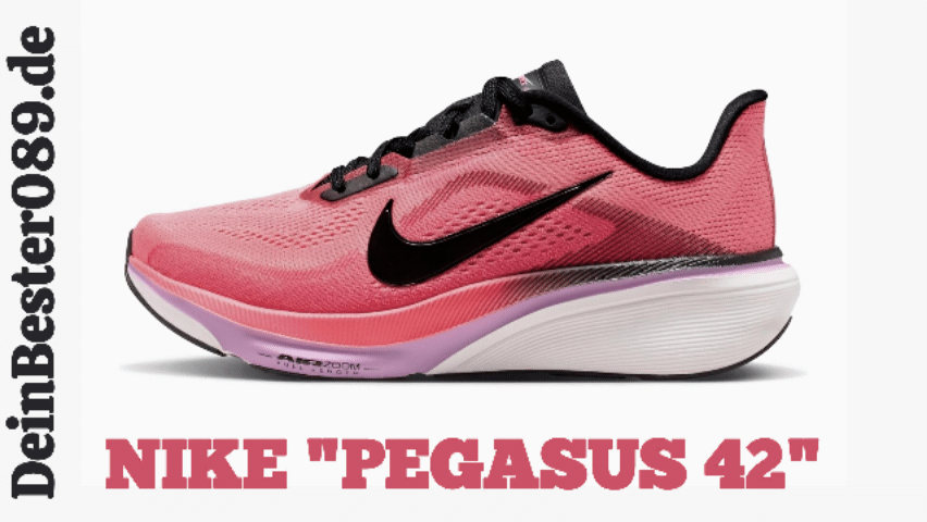 NIKE "PEGASUS 42" DAMEN und Herren, Bike_Shoes
